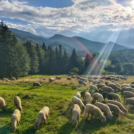 住宿加早餐酒店 Janja Andjela Međugorje