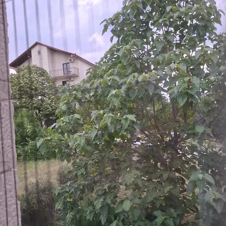 Janja Andjela Međugorje